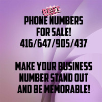 Vip Phone Numbers. Vanity Phone Numbers. Luxury 416-647-905-437