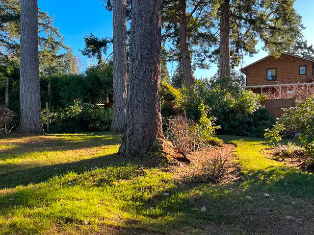 Bright totally renovated home converted into 2 legal suites in Long Term Rentals in Comox / Courtenay / Cumberland - Image 17