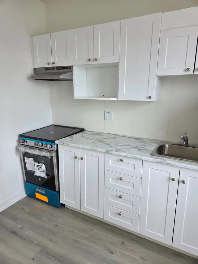 Centretown 1bdrm - utilities all inclusive + wifi in Long Term Rentals in Ottawa - Image 4