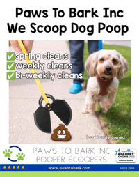 Dog poop - pooper scooper 