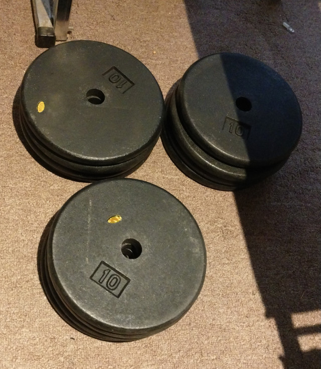 WEIGHT BENCH AND WEIGHTS in Exercise Equipment in Edmonton - Image 3