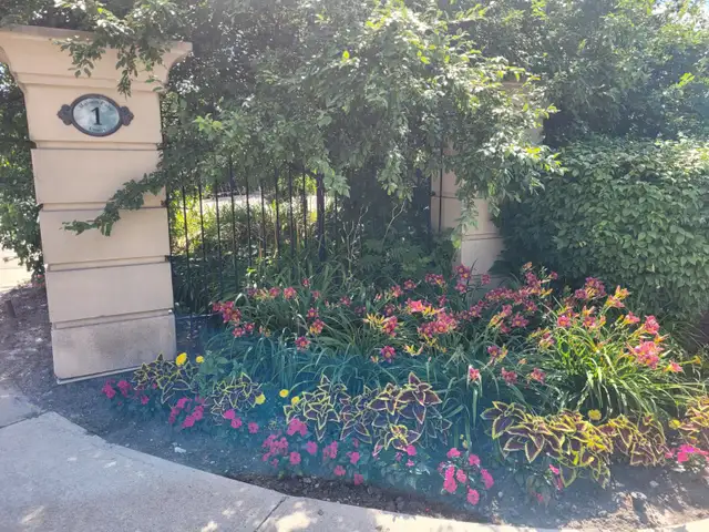 Room for rent in Room Rentals & Roommates in City of Toronto - Image 17