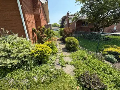 Gardener available $20 hour, View more