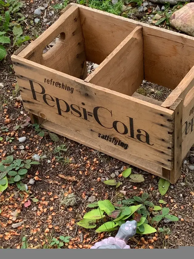 Pepsi Cola Crate64656289698689122