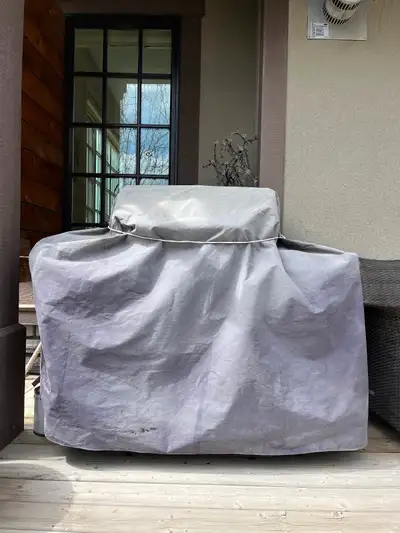 Lightly used BBQ for 50 dollars, View more
