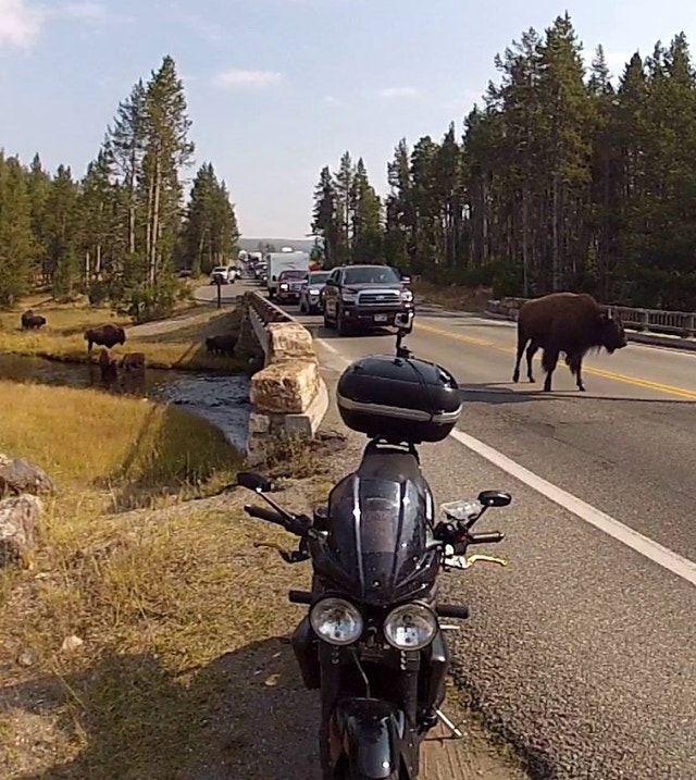 2009 Triumph Speed Triple (Brembos, hardluggage, air horn!) Sport Bikes Calgary Kijiji