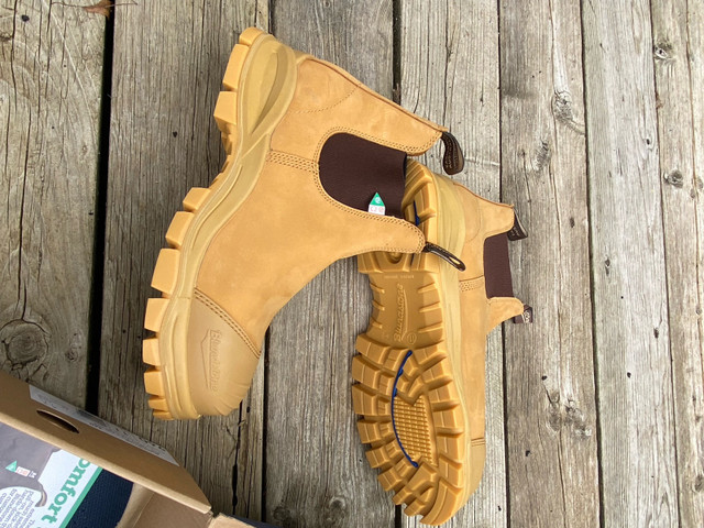 NEED GONE! Blundstone Size 12 US.  Men’s Steel Toe Work Boot. in Men's Shoes in Oakville / Halton Region