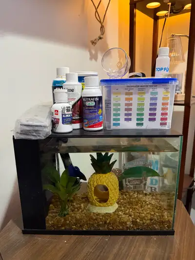 betts fish, tank, and supplies, View more