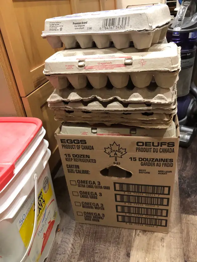 Free Empty  egg carton’s 64551244740481121