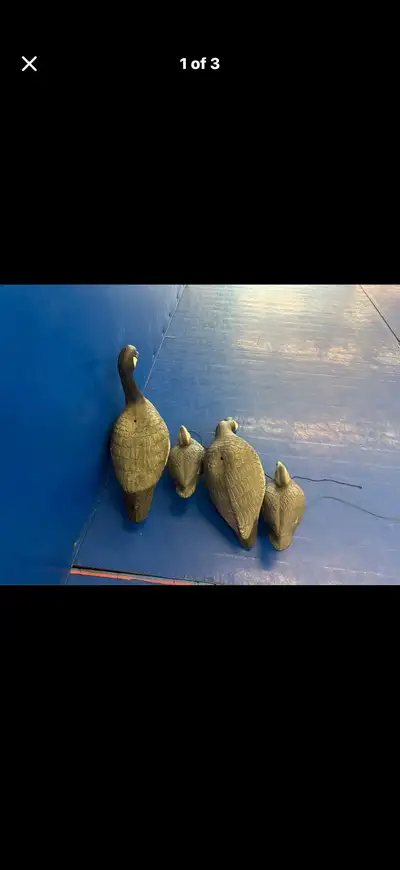 Canada Goose Decoys, View more