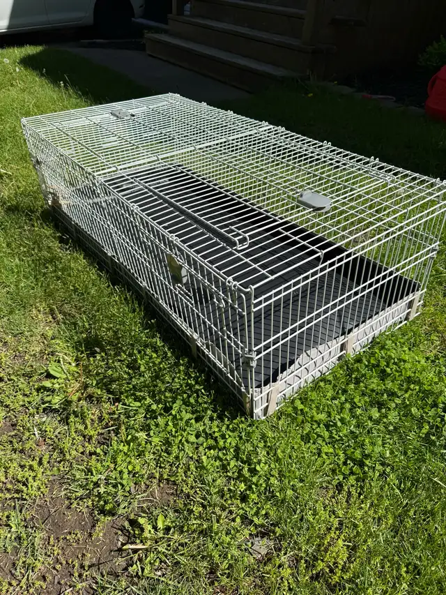 Guinea pig cage  in Accessories in Bedford - Image 2