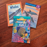 Ocean animals children's story books 3 books