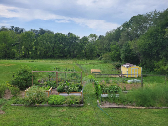 Opportunity Available for Work on Hobby Farm in Other in Mississauga / Peel Region - Image 4