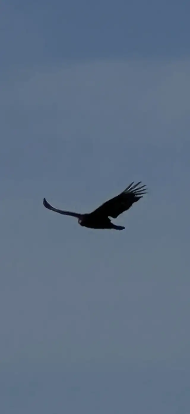 Live Life on Your Terms64612070728066120