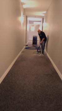 PROFESSIONAL CARPET CLEANING