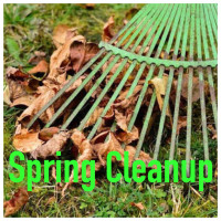SPRING CLEAN UP