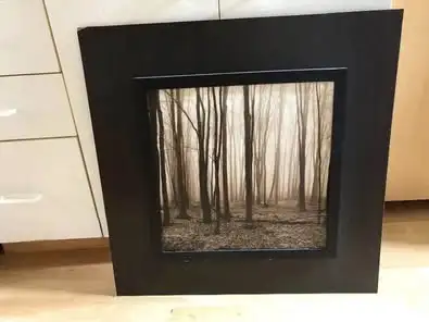 Picture of forest woods $20, 26” square border, View more