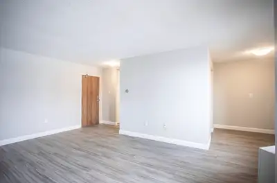 PRO PAINTER!, View more