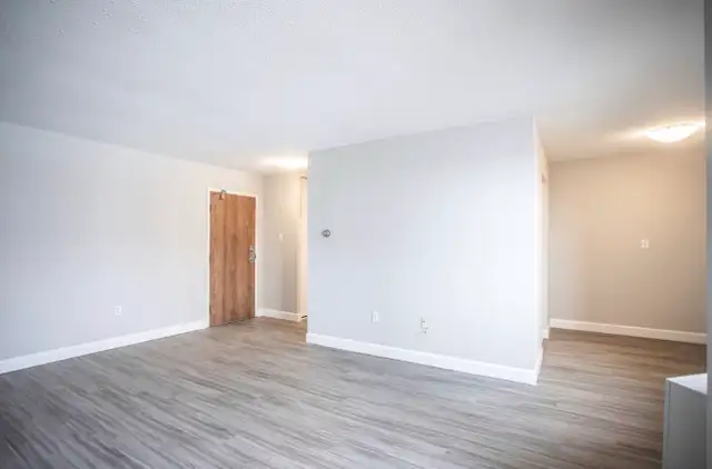 PRO PAINTER!65415157306370120