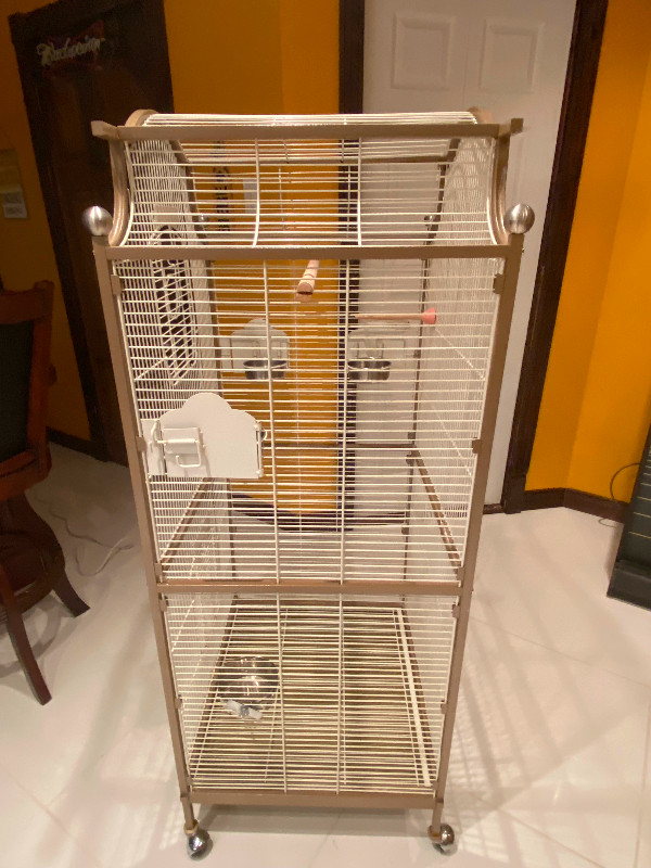 Cage à oiseaux dans Accessoires  à Saint-Hyacinthe - Image 4