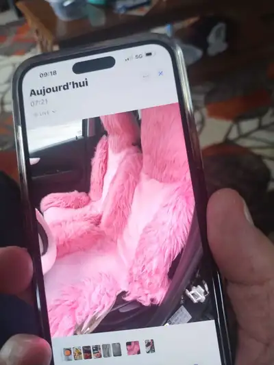 Salut j'ai un couvre siège pour auto rose facile à installer sont pas briser et je demande 100 dolla...