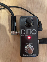 Ditto loopers (guitar/mic)