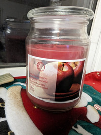NEW 18 OZ SCENTED GLASS JAR CANDLE WITH LID 