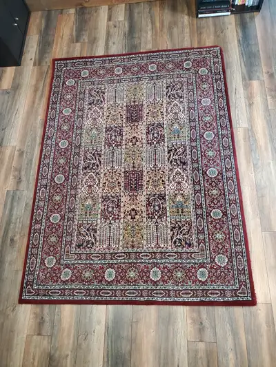 Ikea ornate rug - Approx 5'7" x 7'7" - No Stains - One corner chewed by puppy