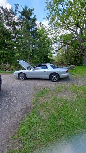 1997 Pontiac Firebird -