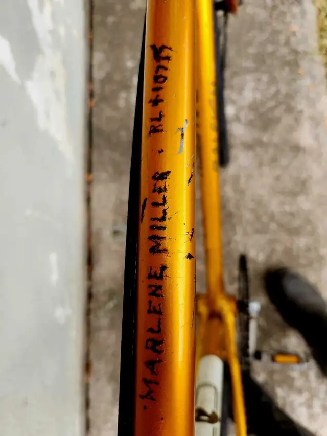 Vintage Raleigh Frame Single Speed/Fixie Size Medium in Fixie (Single Speed) in Oakville / Halton Region - Image 8