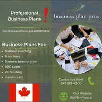 Business Plan Pros