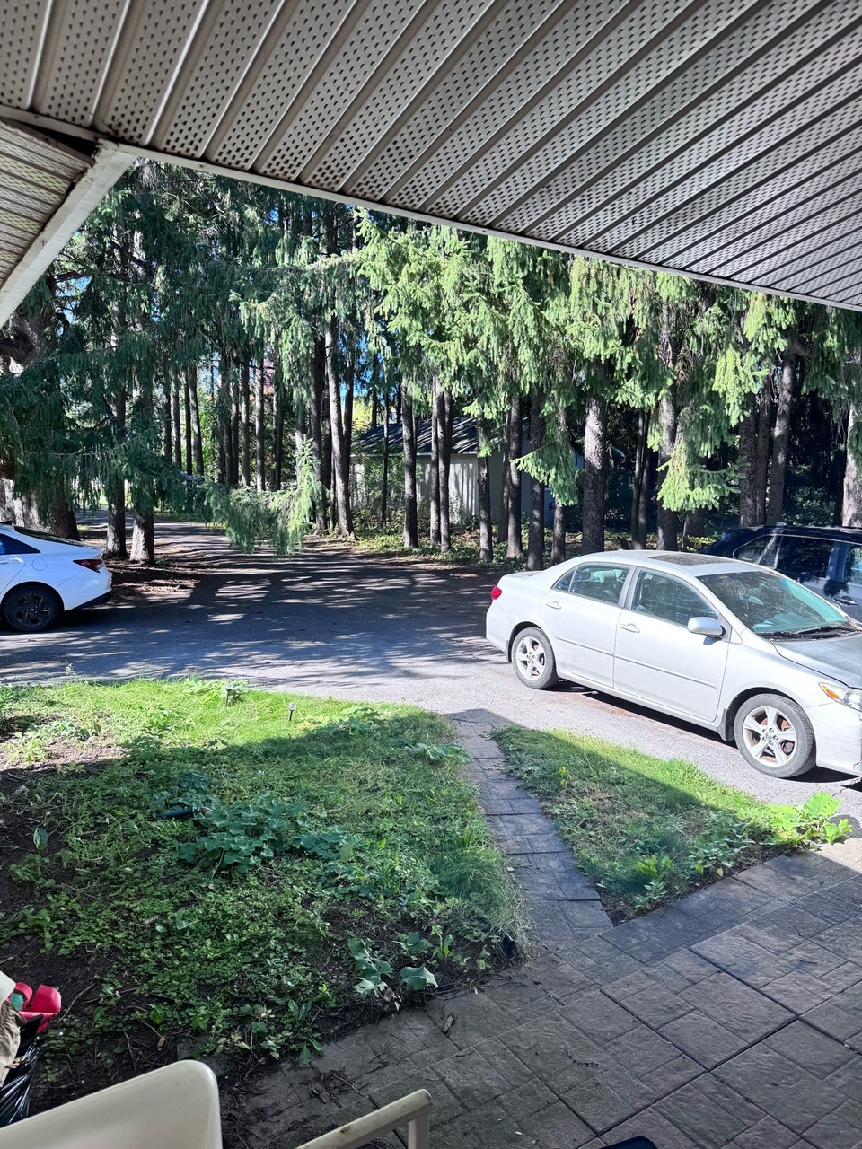room for rent  Prince of wales 4