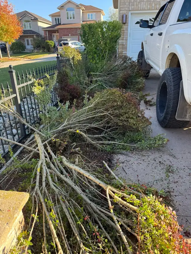 yard clean ups 460987935553628161