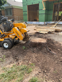 STUMP & ROOT GRINDING/REMOVAL