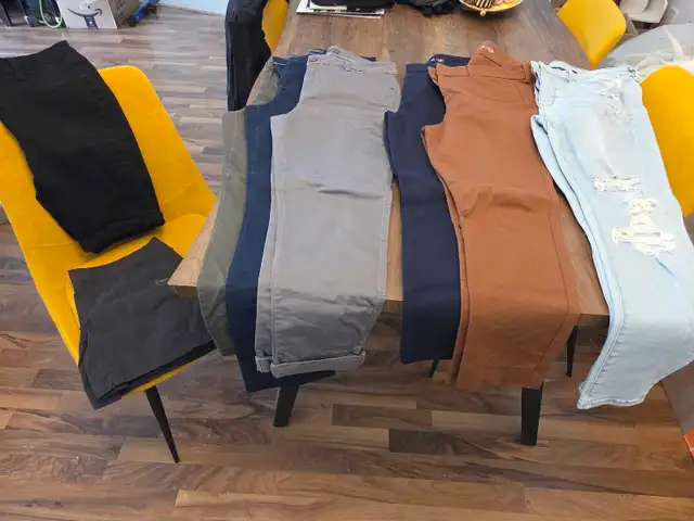 Women's work pants and shorts