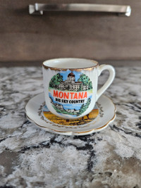 Vintage Montana Tea Cup And Saucer Decorative Souvenir