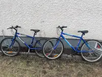 Two bikes 