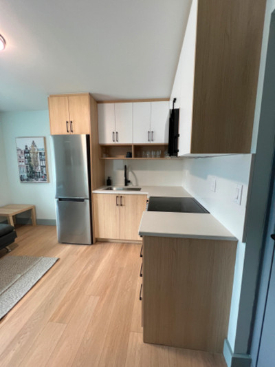 Rental Units in Arthur New Renovated with modern Finishes