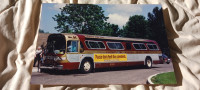 8X12 PHOTO MINNESOTA UNIVERSITY TRANSIT GM NEW LOOK BUS