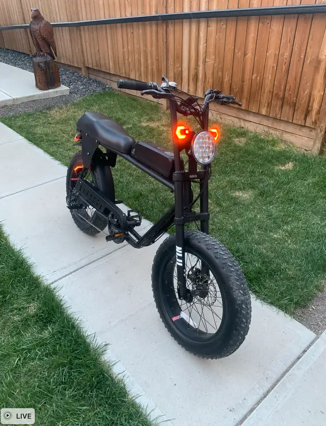 Moped Style E Bike62863274461442122