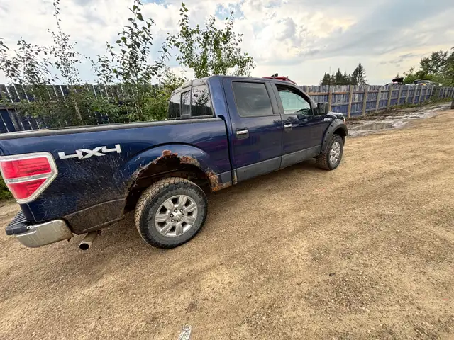 2009 Ford F150 XLT525767036791040007