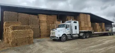 Medium (3x3x8) square bales for sale. Alfalfa and alfalfa grass mix bales varying in quality. We hav...