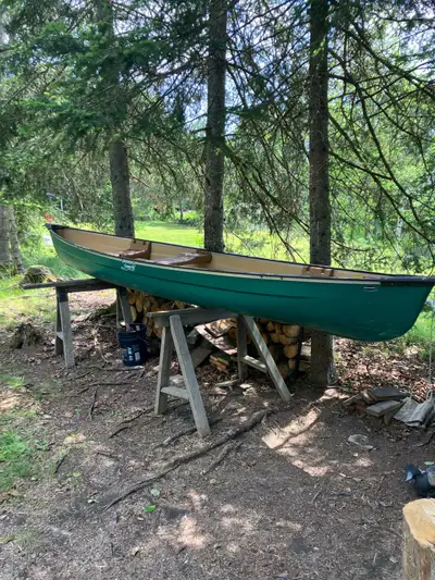 16 foot Coleman canoe Nice condition phone or text 5197844347