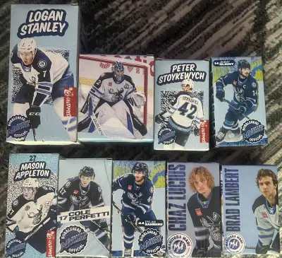 Prices are as listed, not OBO. New in box. Pick up St James Polo Park area. STANLEY $20 MILIC $20 ST...