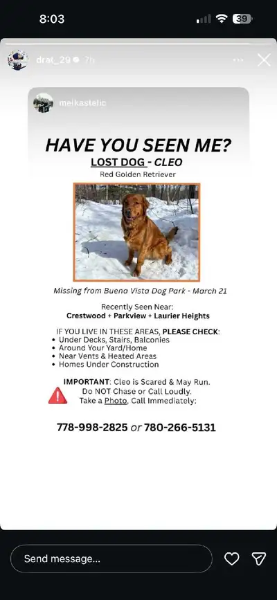 Missing dog MacKenzie Ravine, View more