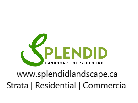 Landscaper/Gardener Supervisor in General Labour in Delta/Surrey/Langley - Image 2