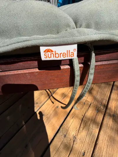 IKEA lounge chair/w Sunbrella cushion $50 obo, View more