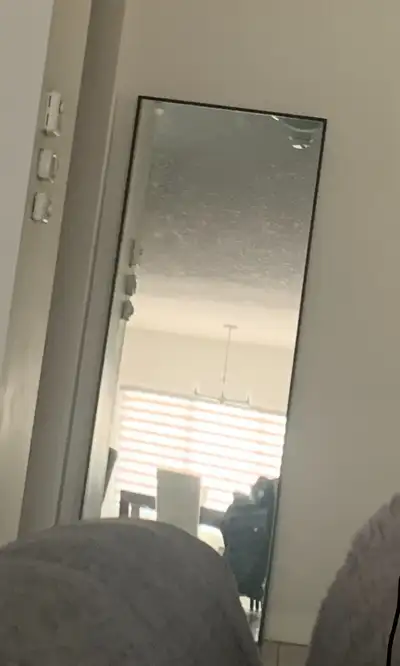 Revolve Large black heavy full length wall mirror, View more