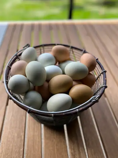 Eggs $7/dozen, View more
