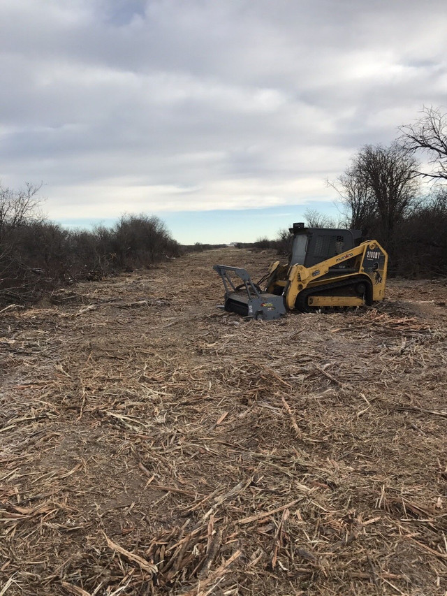 Tree Mulching and Skid Steer Services in Lawn, Tree Maintenance & Eavestrough in Saskatoon